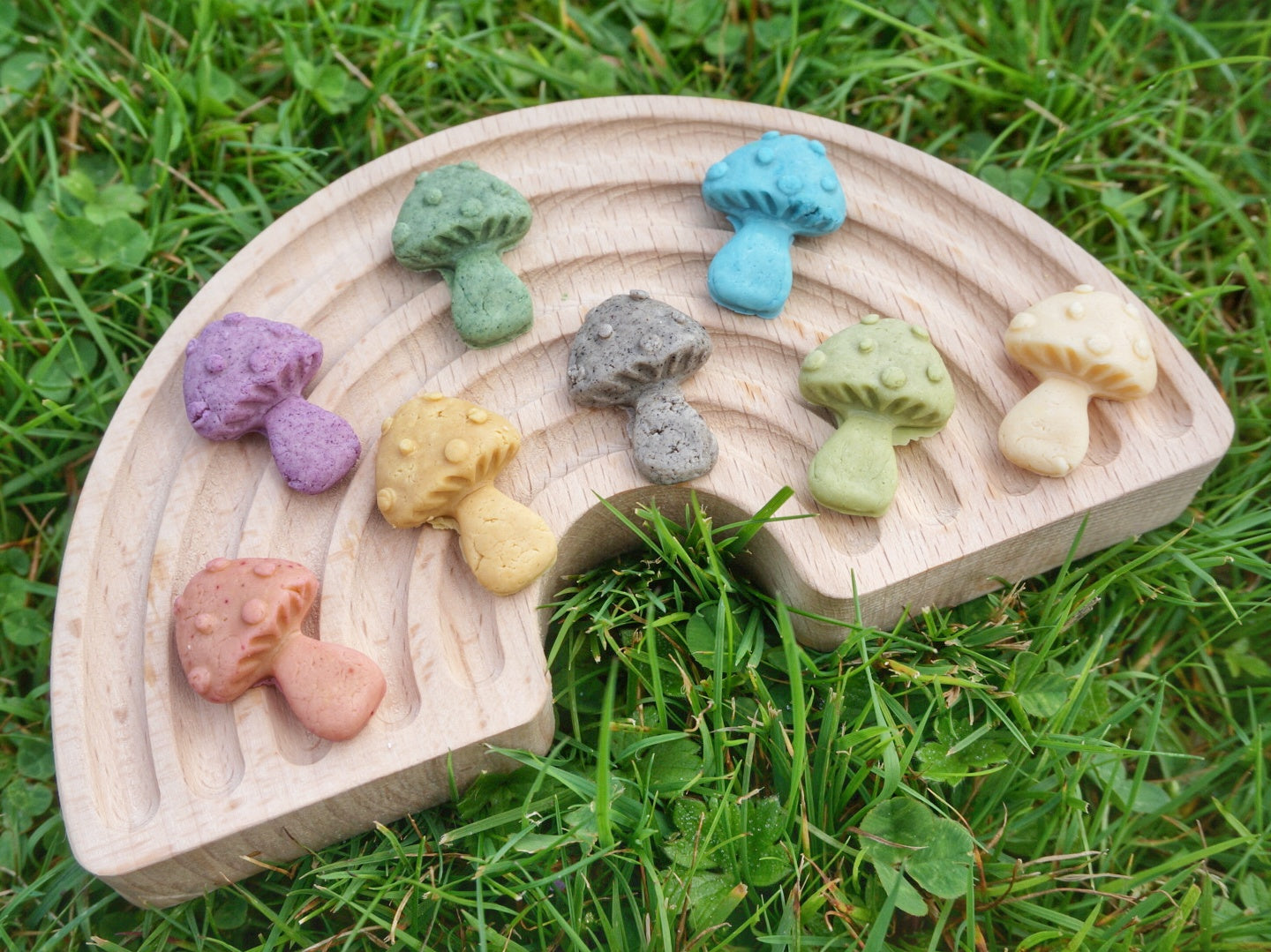 MUSHROOM CANDIES (Goat milk bites)