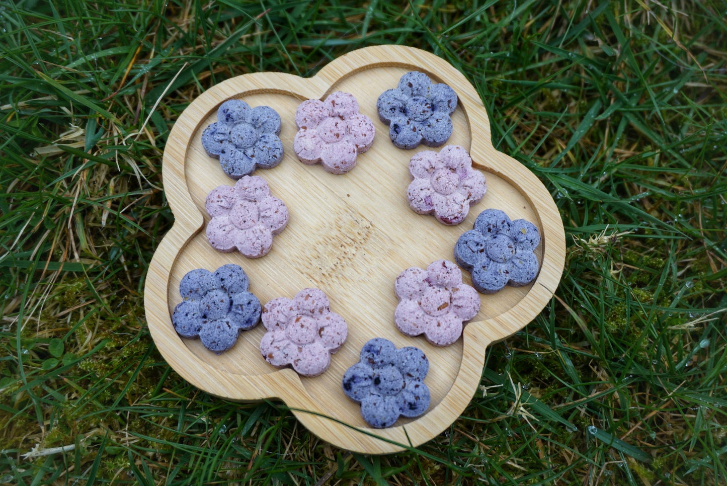 BERRY BLOSSOMS