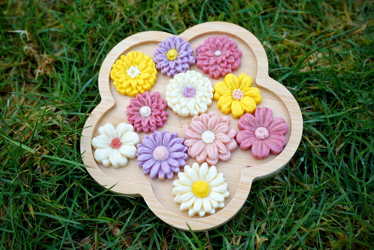 WILD FLOWERS IN BLOOM