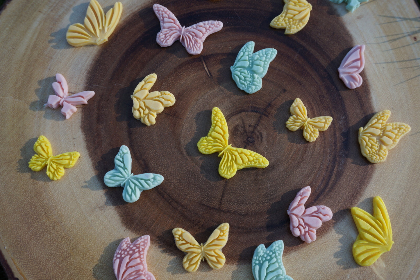 BUTTERFLY DREAMS