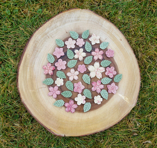 BLOSSOM IS IN THE AIR