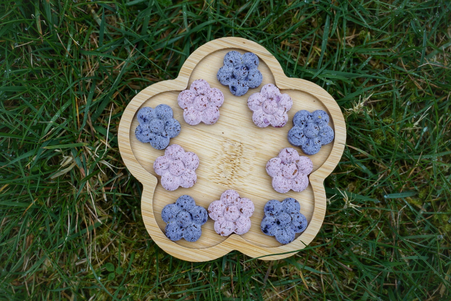 BERRY BLOSSOMS