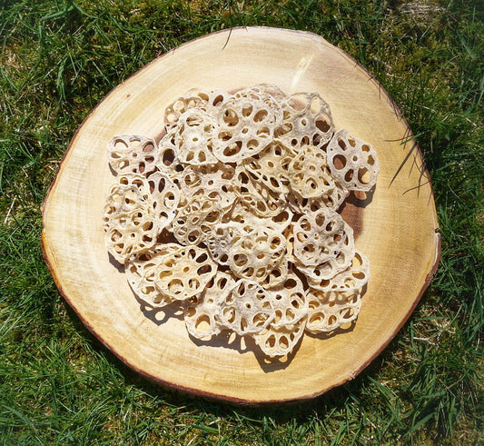 LOTUS ROOT