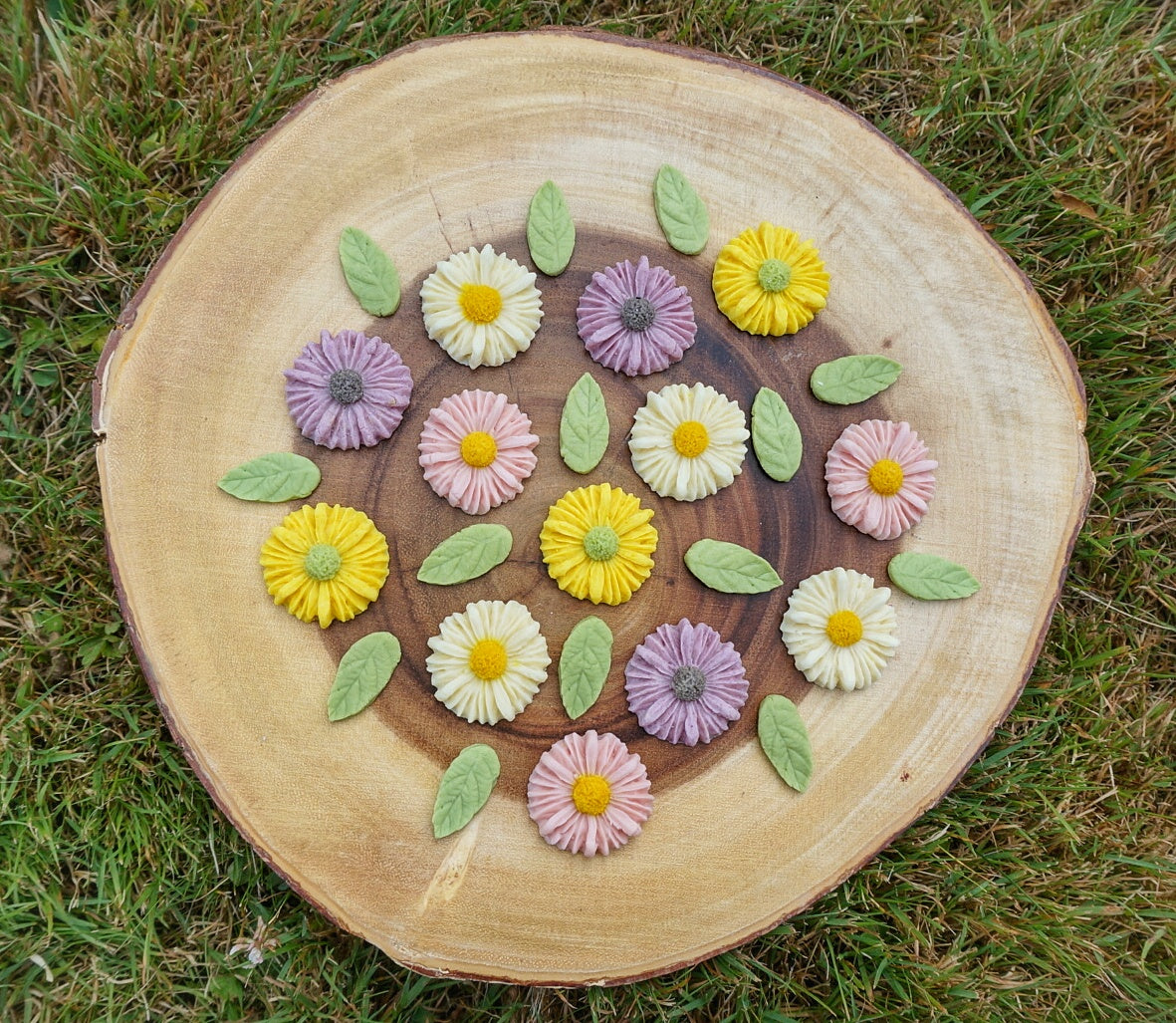 DAISY GARDEN (Summer only)