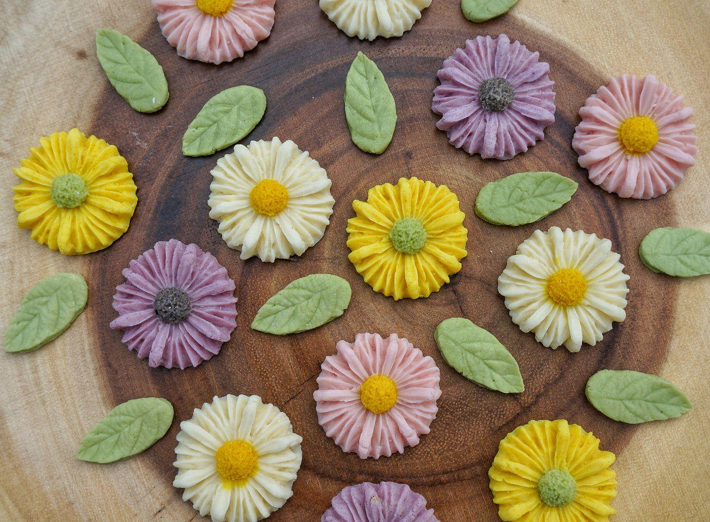 DAISY GARDEN (Summer only)