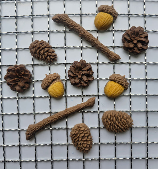 SQUIRREL'S TREASURES