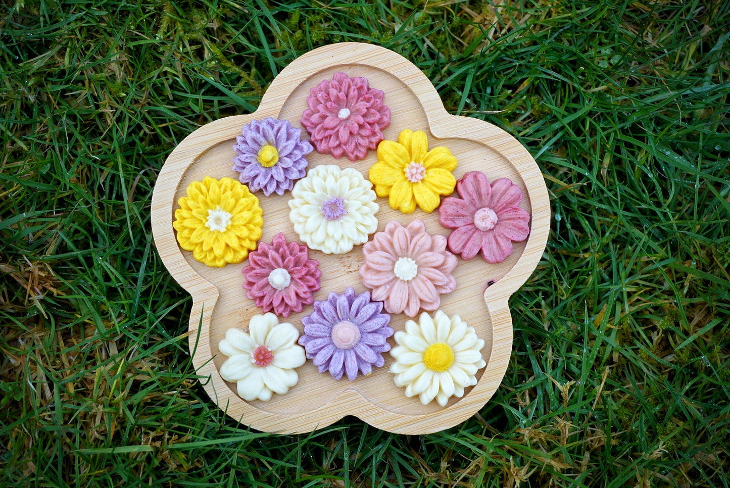 WILD FLOWERS IN BLOOM