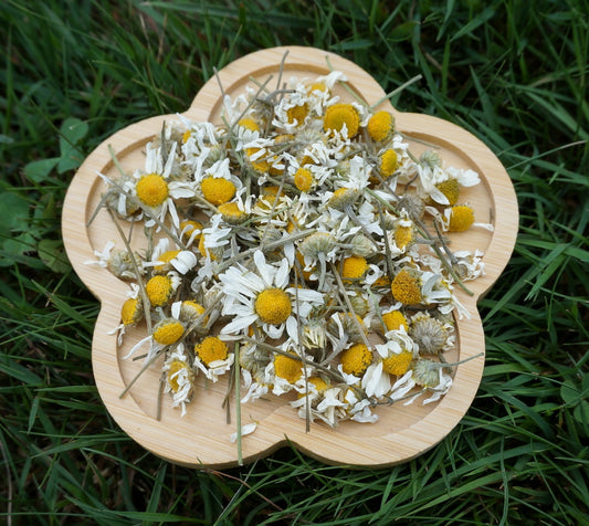 AIR DRIED FLOWERS