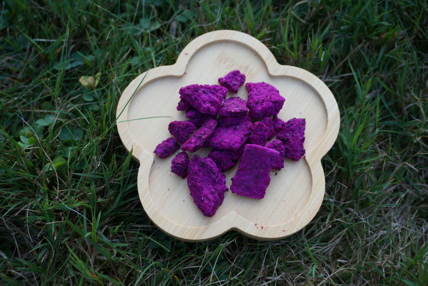 FREEZE DRIED DRAGON FRUIT