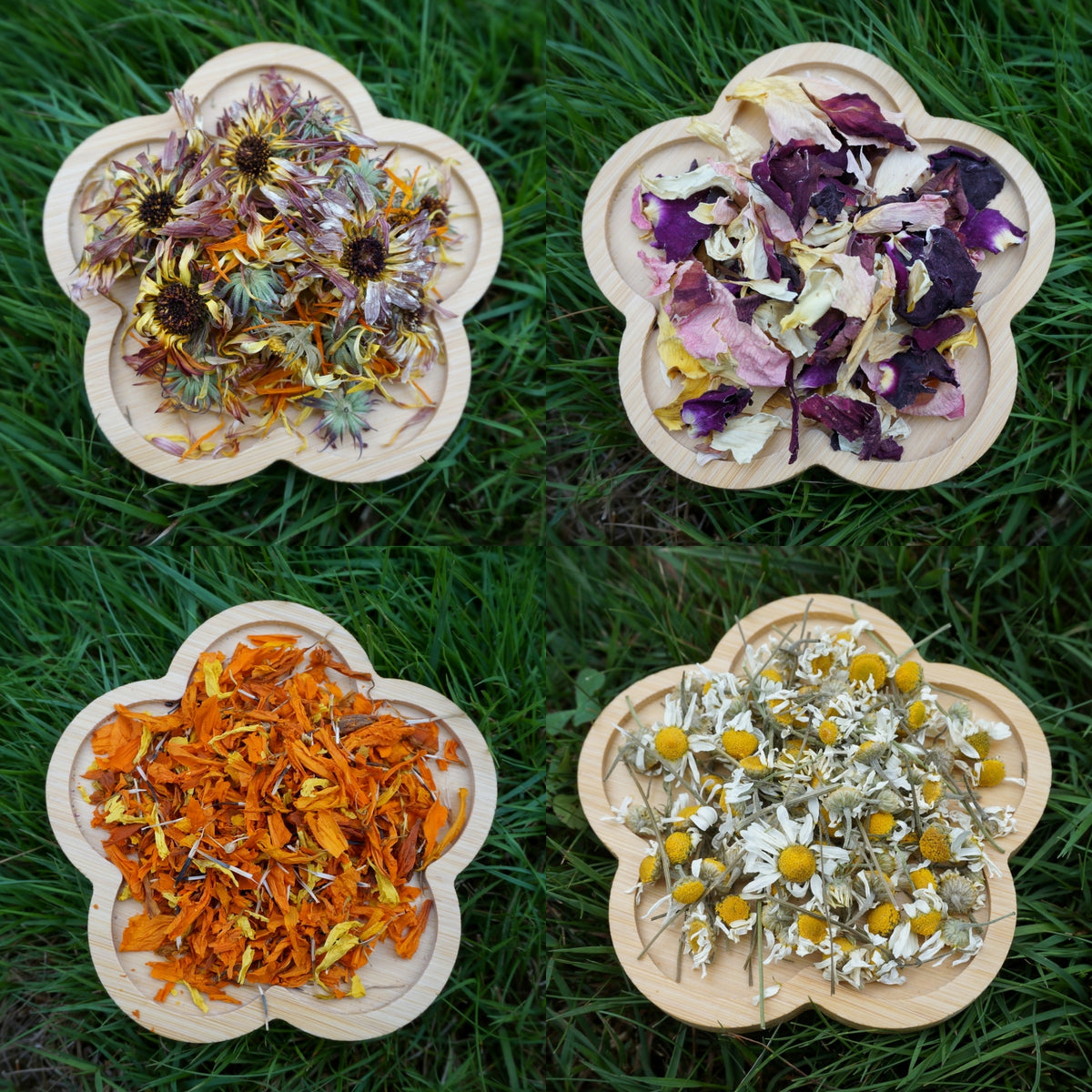 AIR DRIED FLOWERS